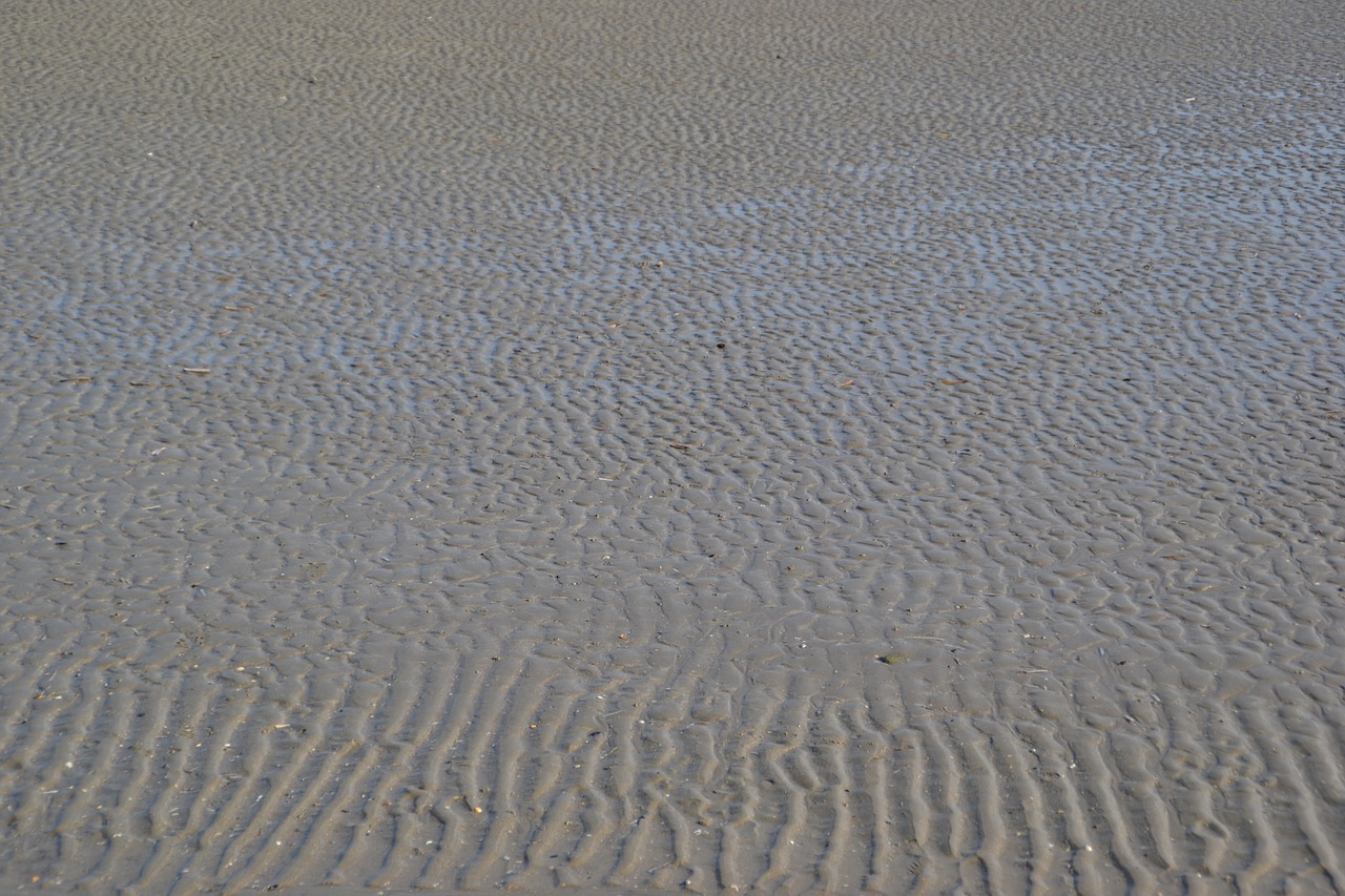 Image - sand ripple sea soil sandy beach