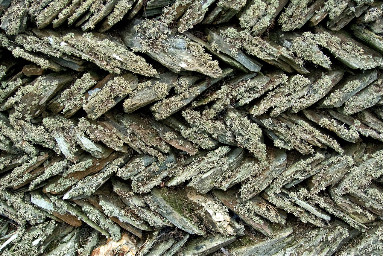 Image - stone wall slate lichen old