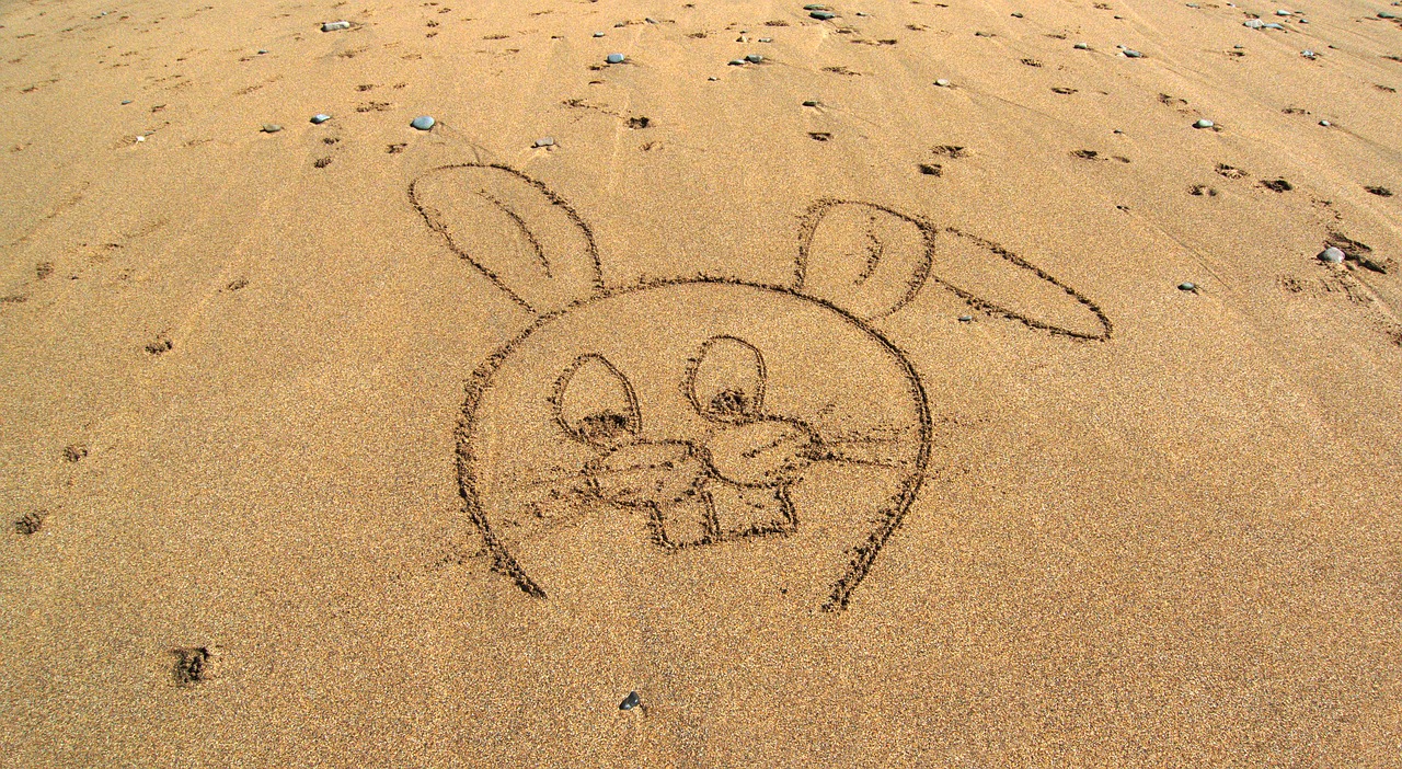 Image - rabbit cartoon beach sand drawing