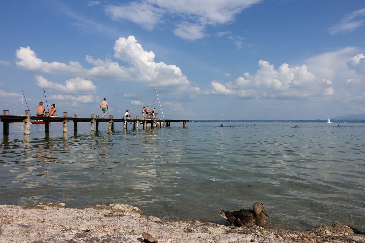 Image - lake swim web water landscape