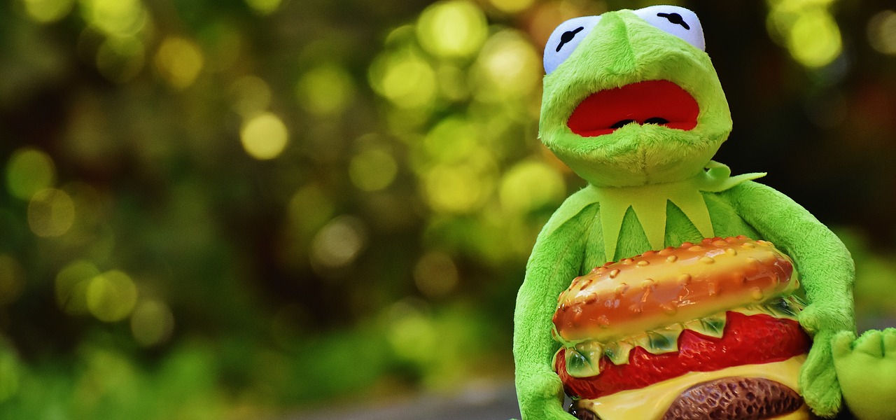 Image - kermit frog cheeseburger hamburger