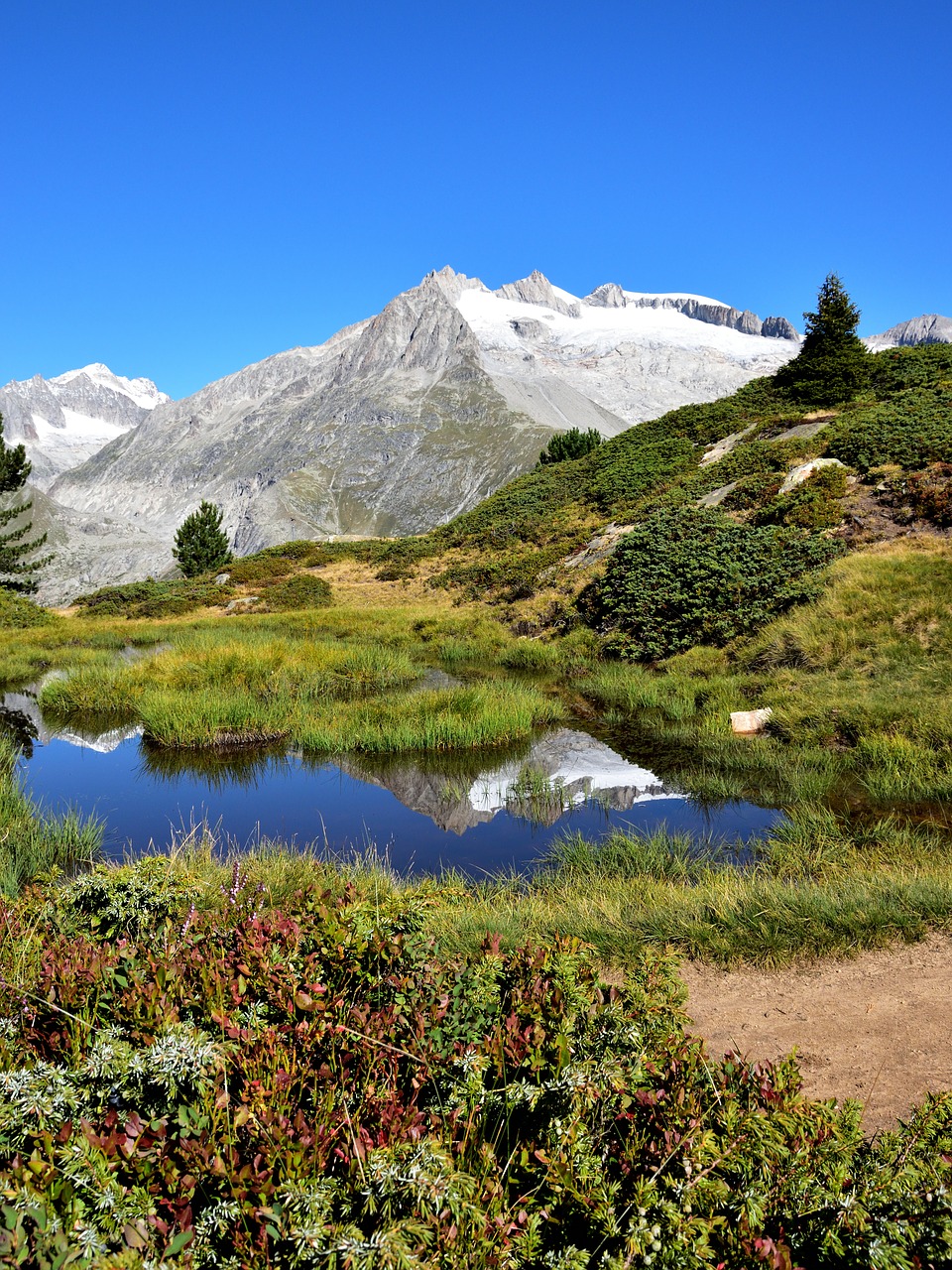 Image - mountain pond landscape mirroring