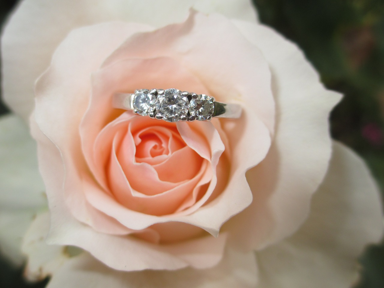 Image - ring engagement ring love rose