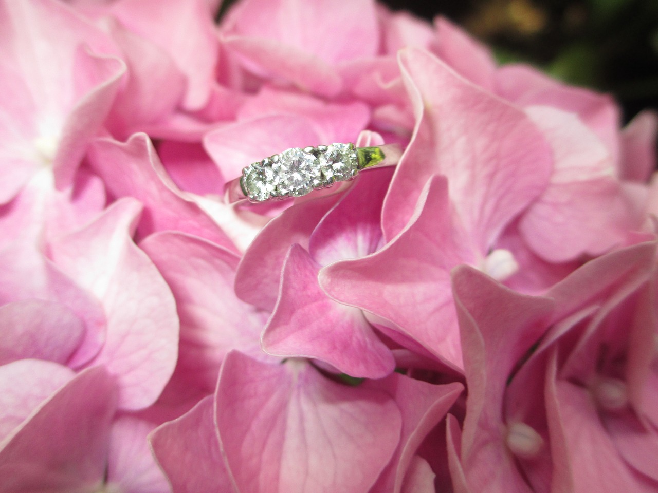 Image - ring flower diamond engagement ring