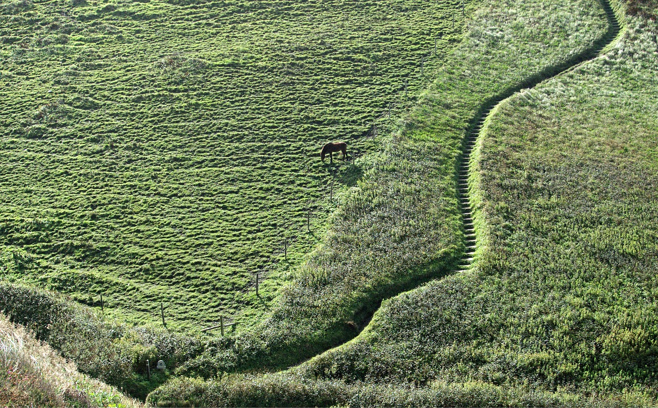 Image - path steps hill hillside horse