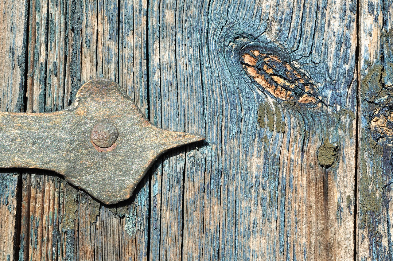 Image - door hinge wood door blue metal