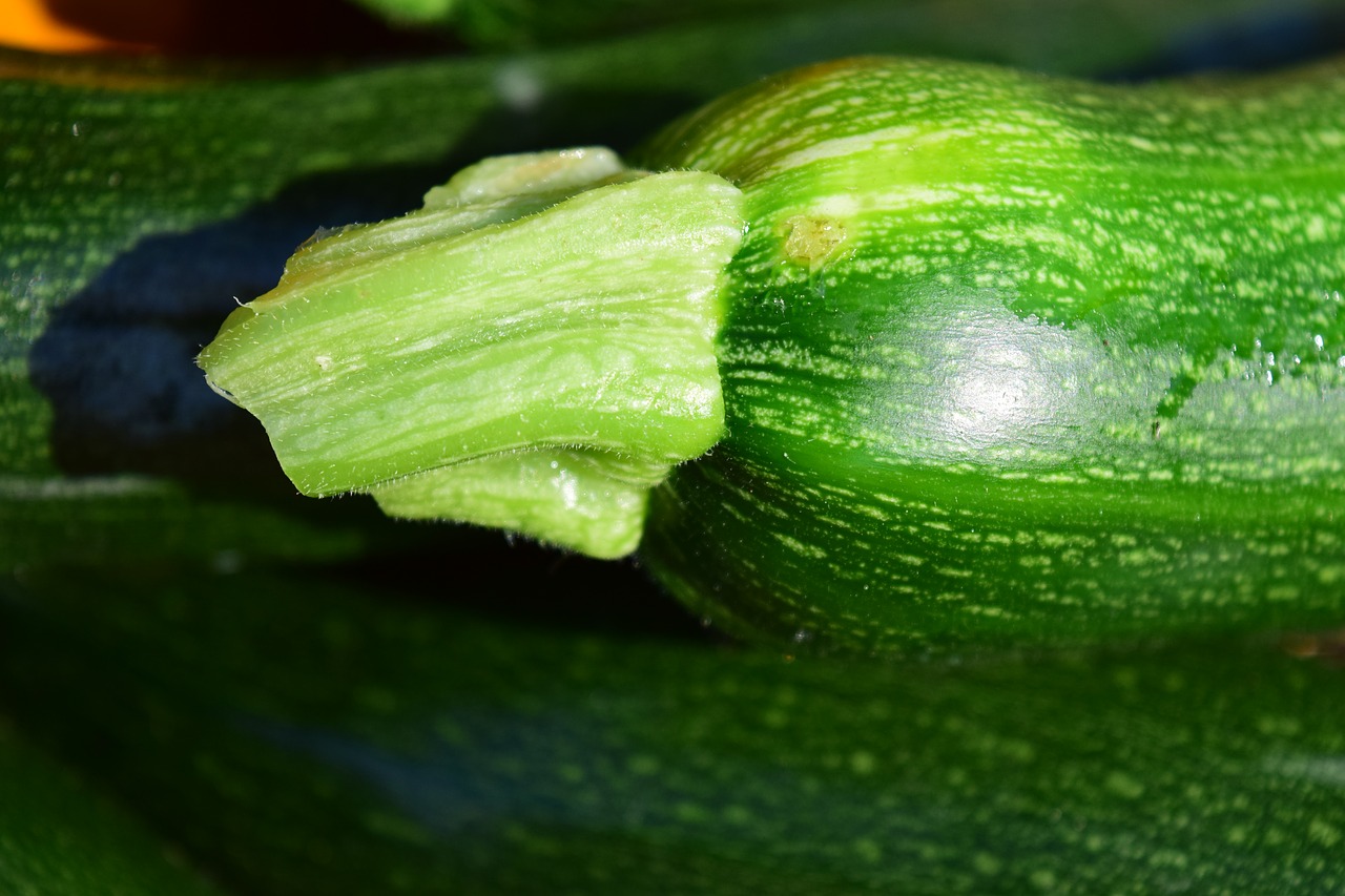 Image - zucchini close vegetables food