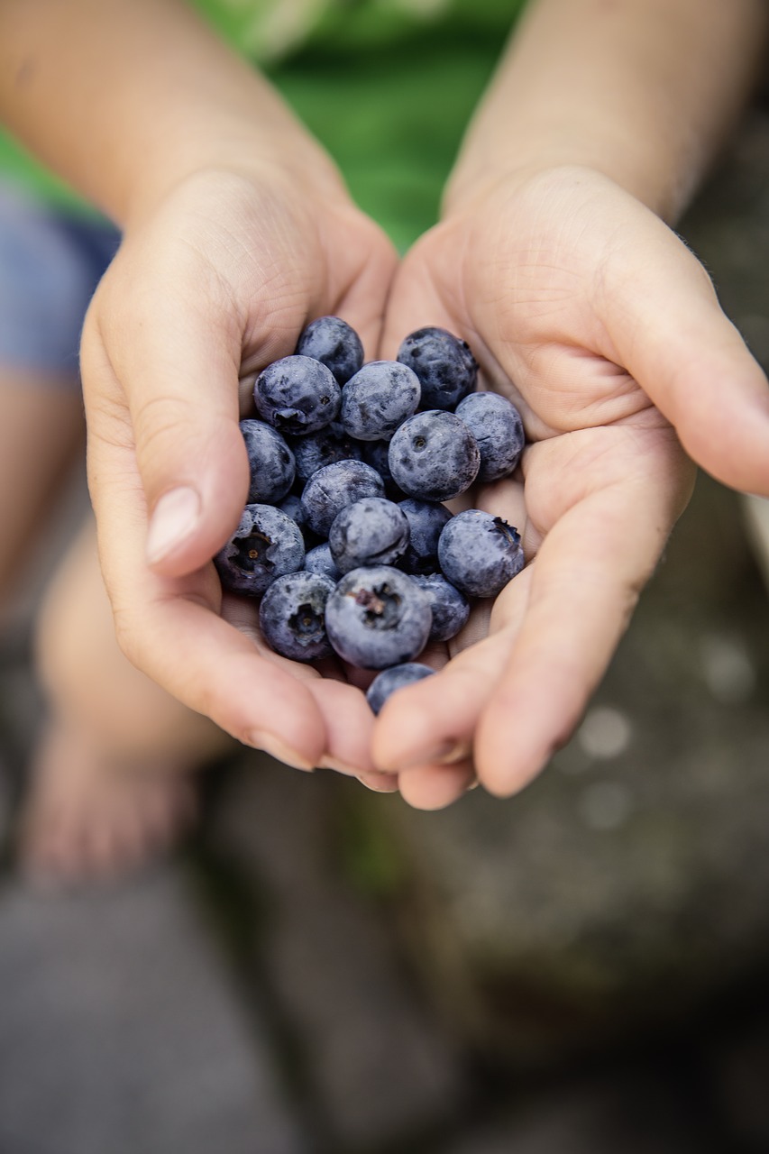 Image - blueberries fruit fruits delicious