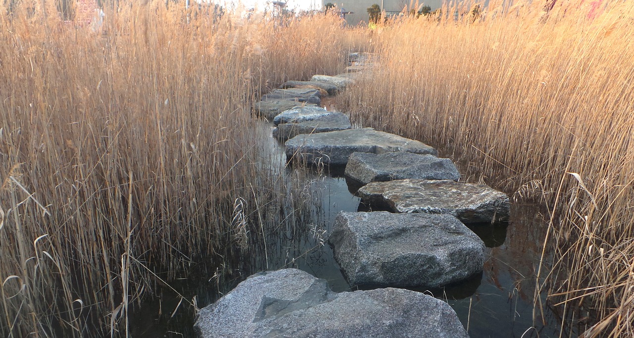 Image - reed stepping stone ishibashi