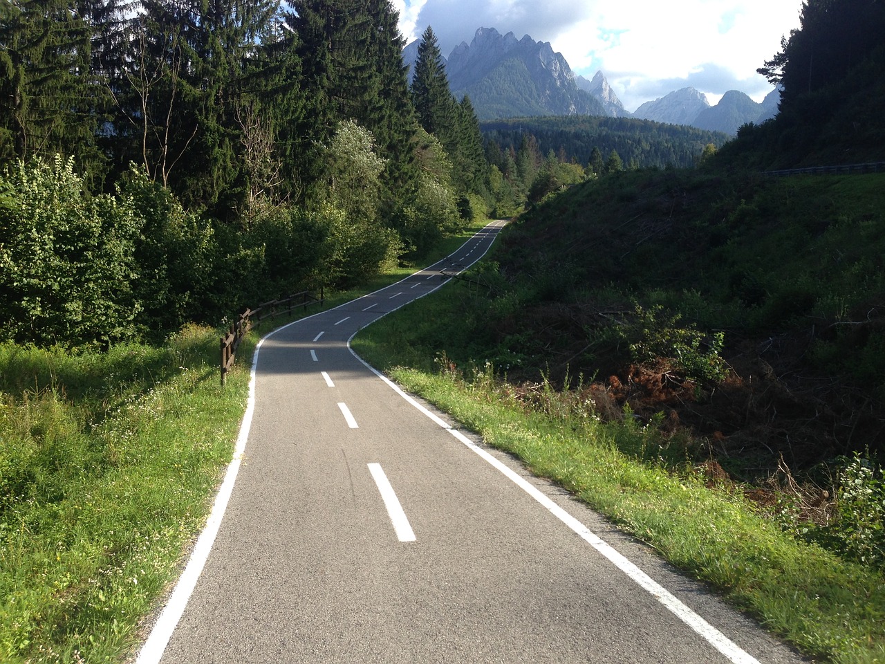 Image - bicycle path forest mountains