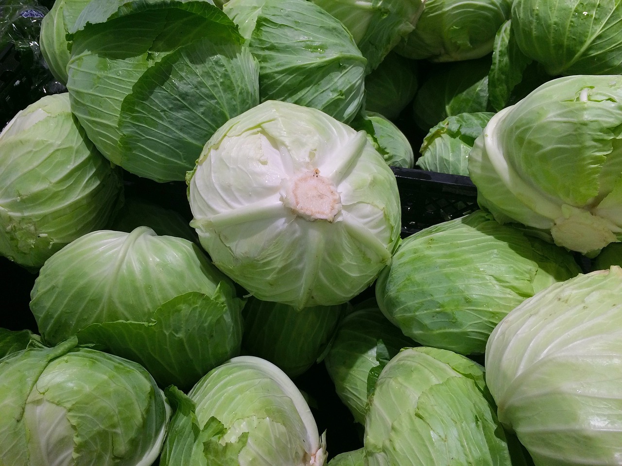 Image - cabbage drop of water fresh green