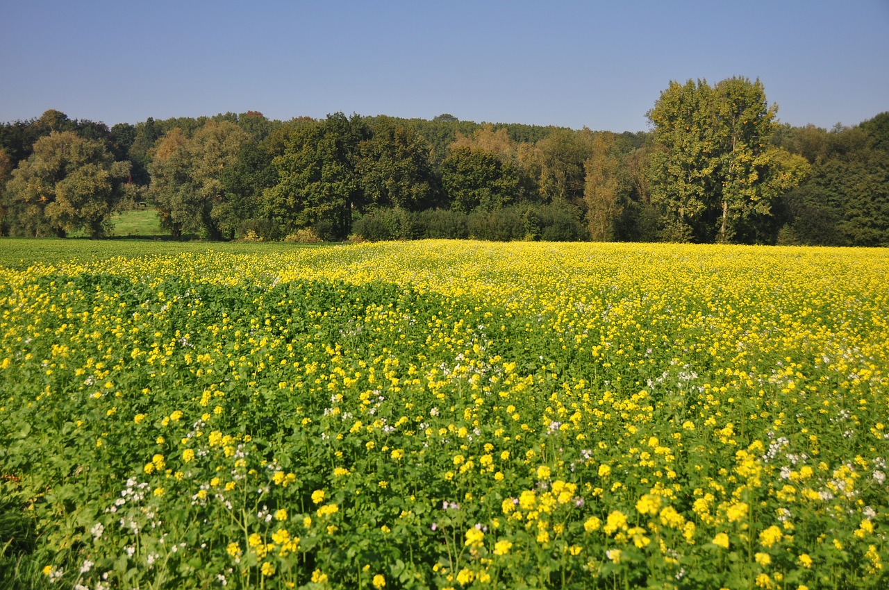 Image - flemish ardennes flanders belgium