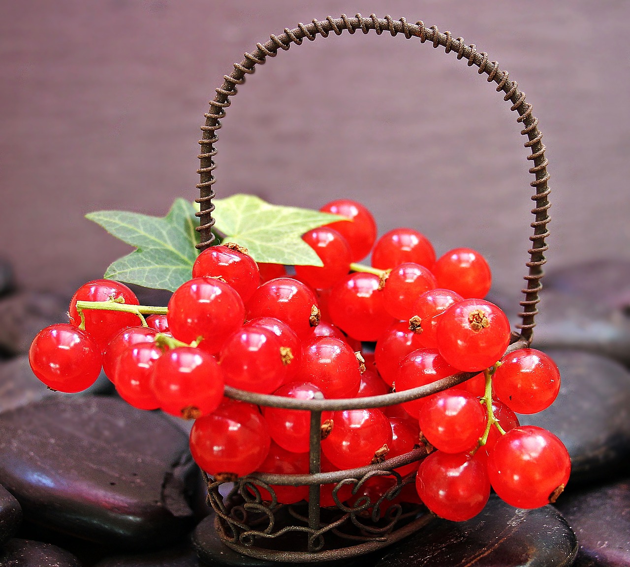 Image - currants fruit red currant red