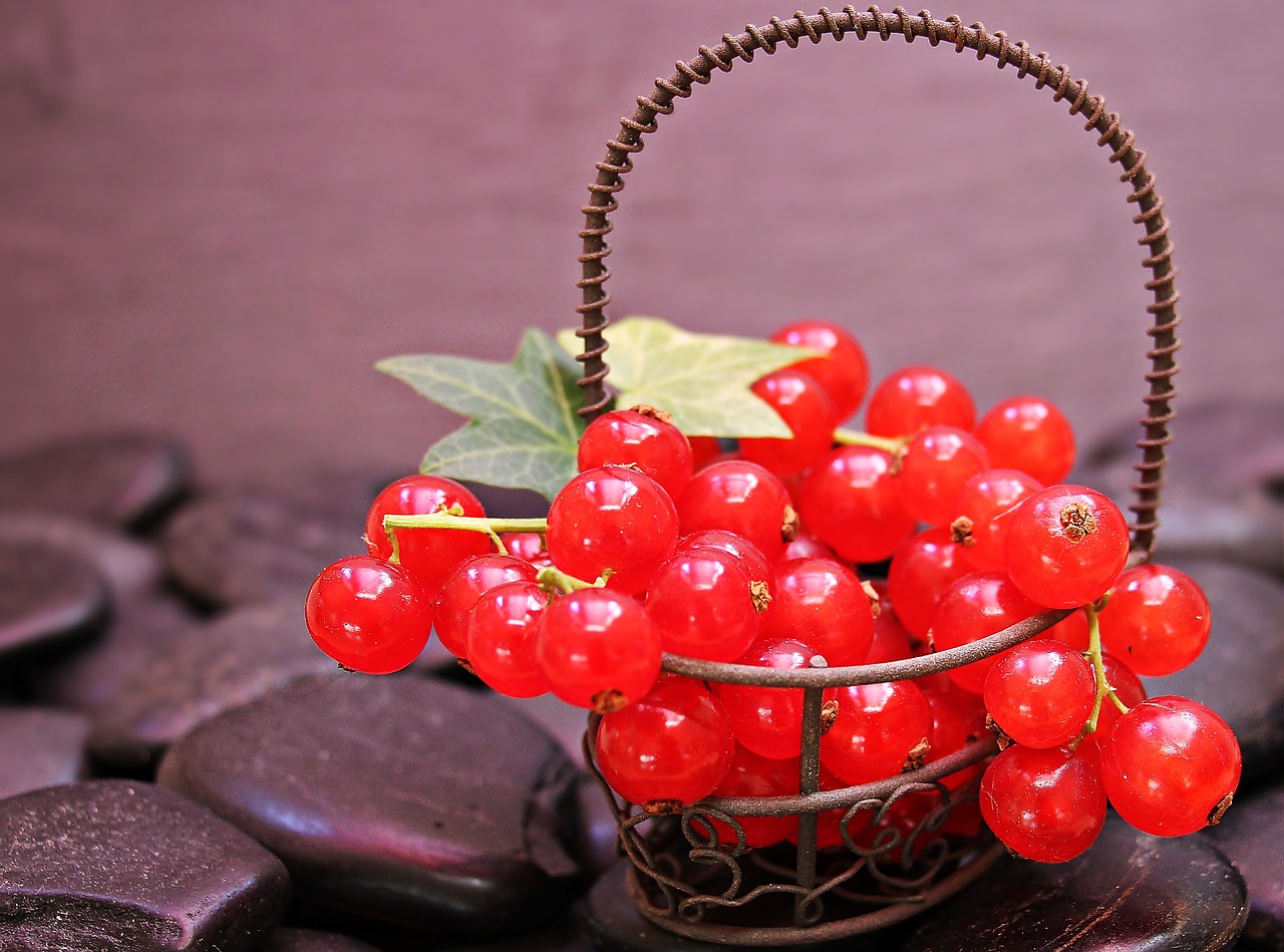 Image - currants fruit red currant red