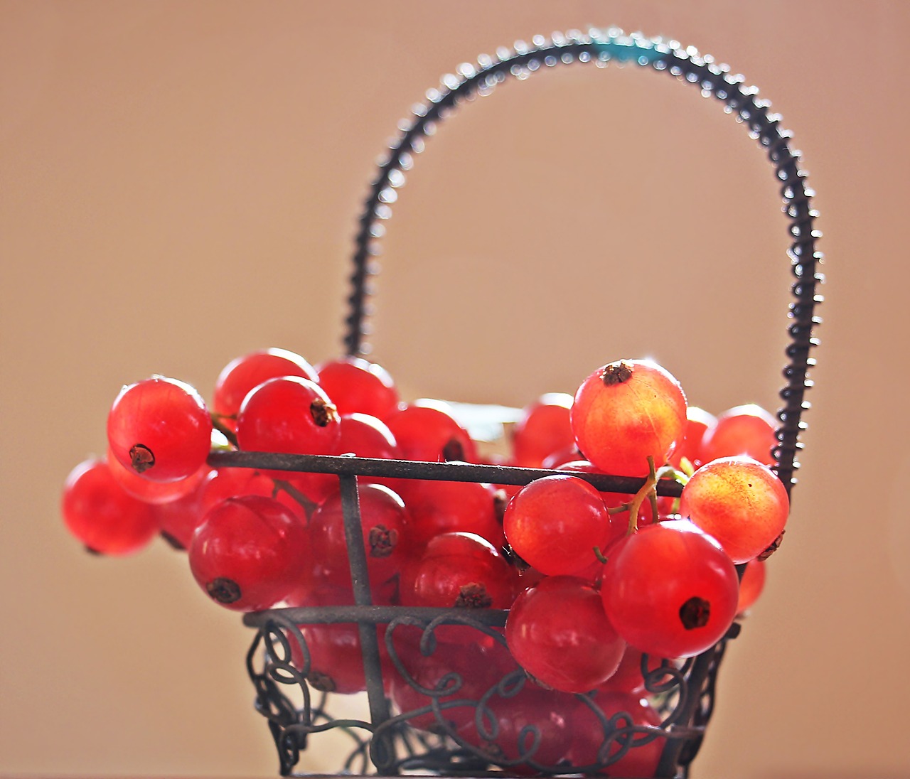 Image - currants fruit red currant red