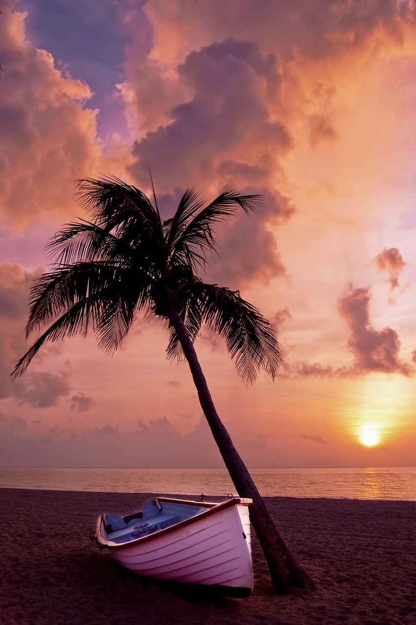 Image - palm tree palm ocean summer