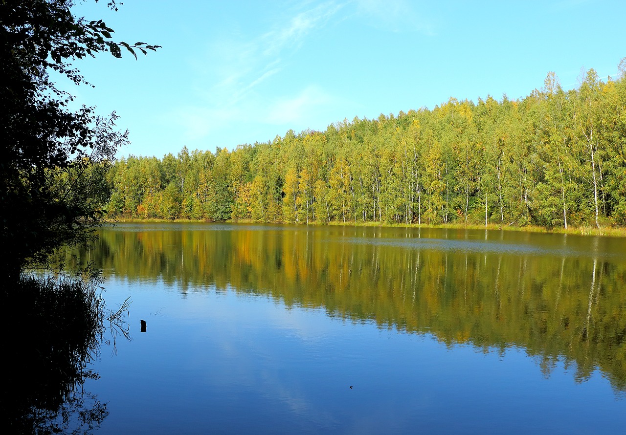 Image - lake forest waldsee nature