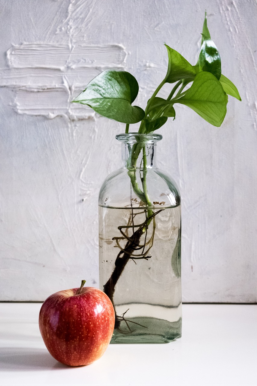 Image - composition apple bottle glass