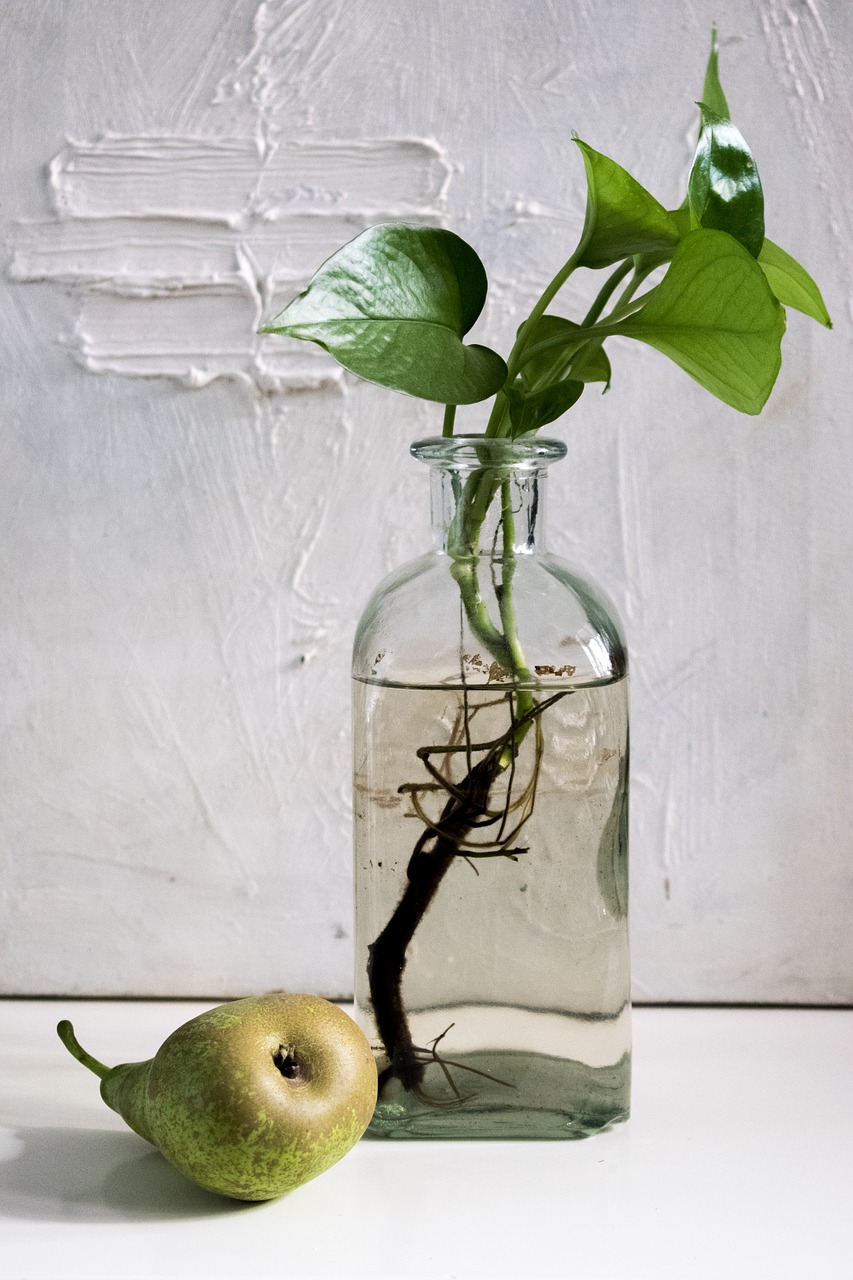 Image - composition pear bottle green