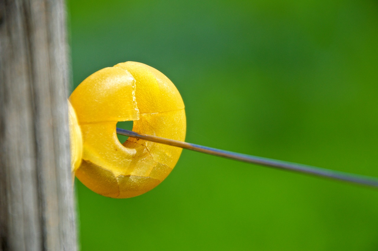 Image - insulator fixing pasture fence