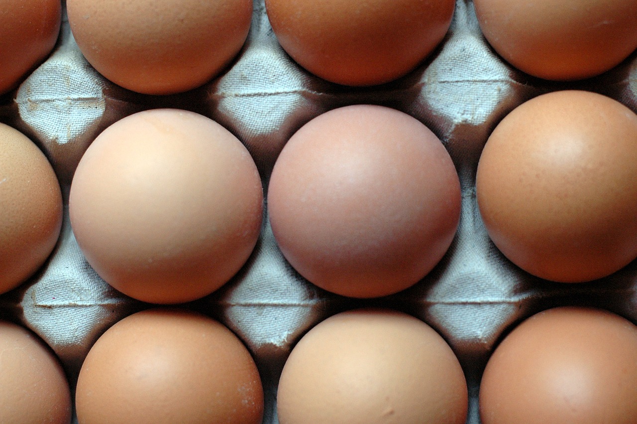 Image - eggs pattern food nutrition