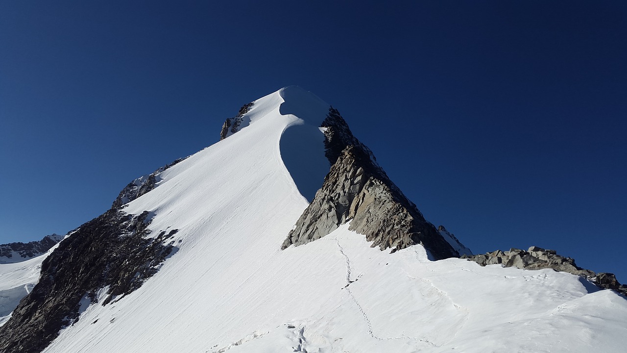 Image - piz bernina alpine biancograt