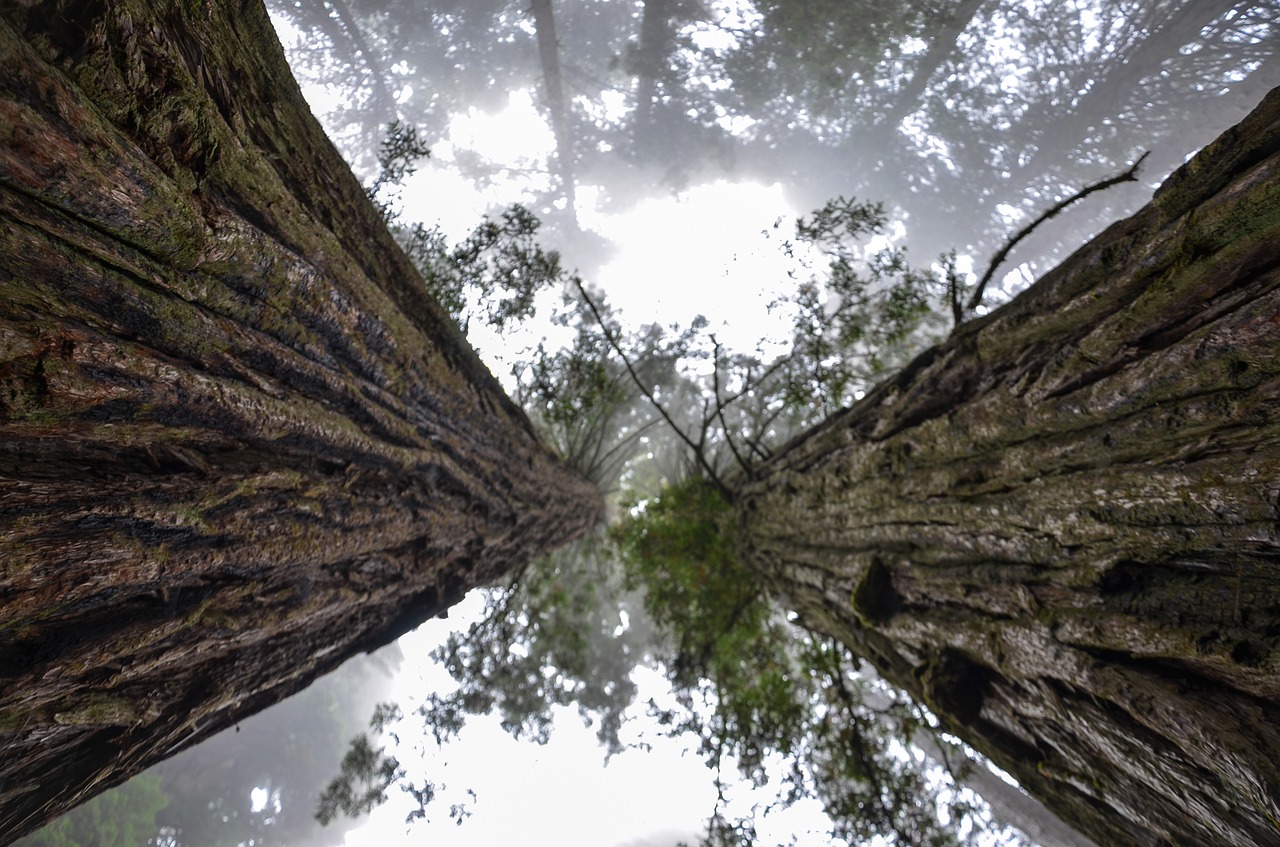 Image - usa america california