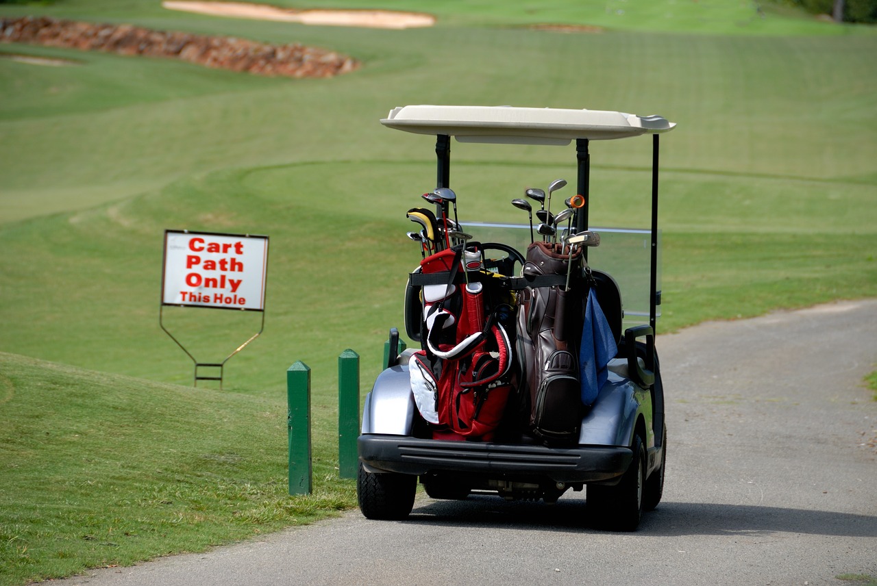 Image - golf cart transportation golf bags