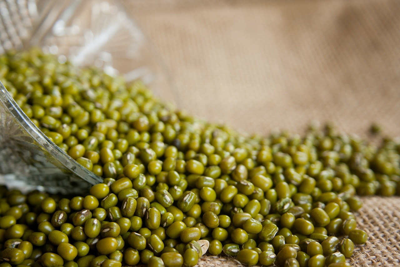 Image - mung beans vigna radiata moong bean