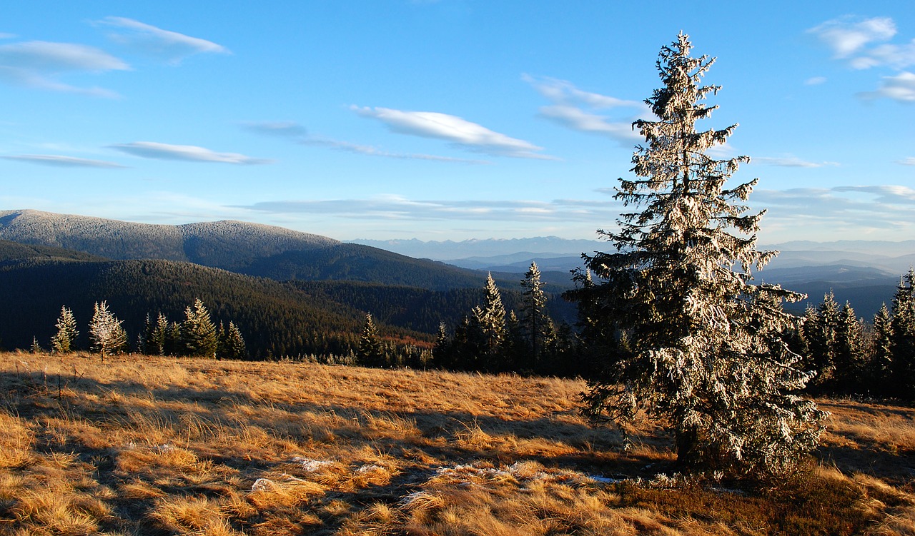 Image - mountains view rysianka landscape