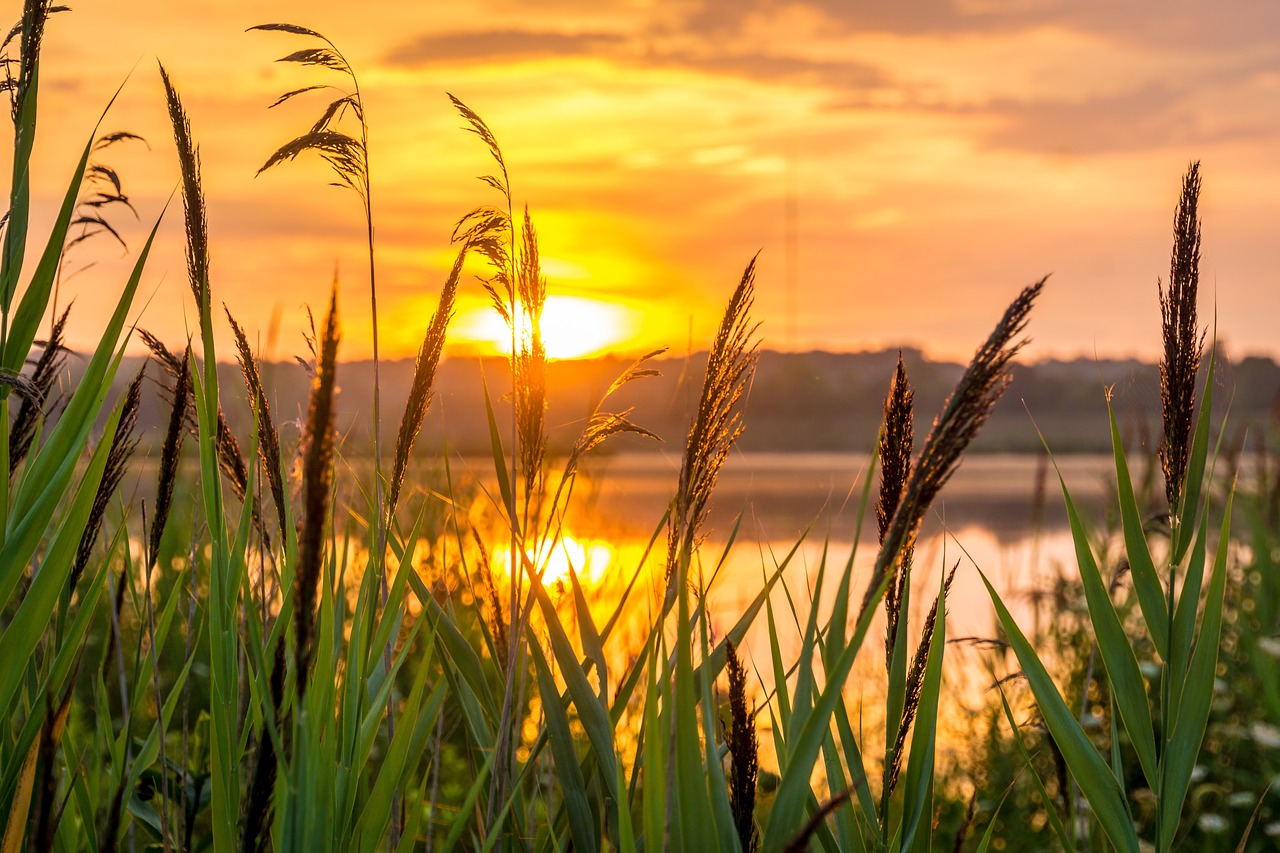 Image - sunrise hope morning nature