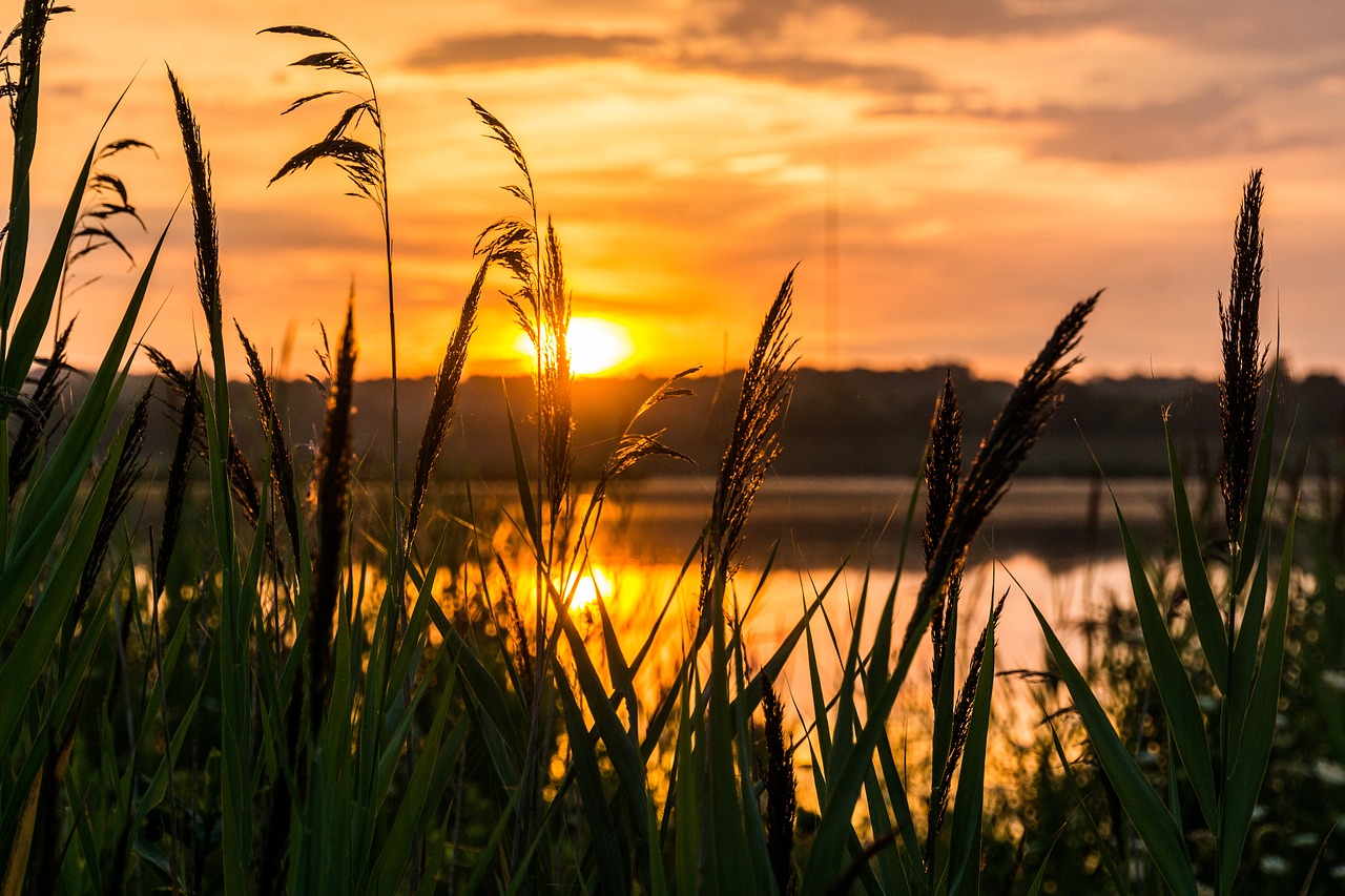 Image - sunrise hope morning nature