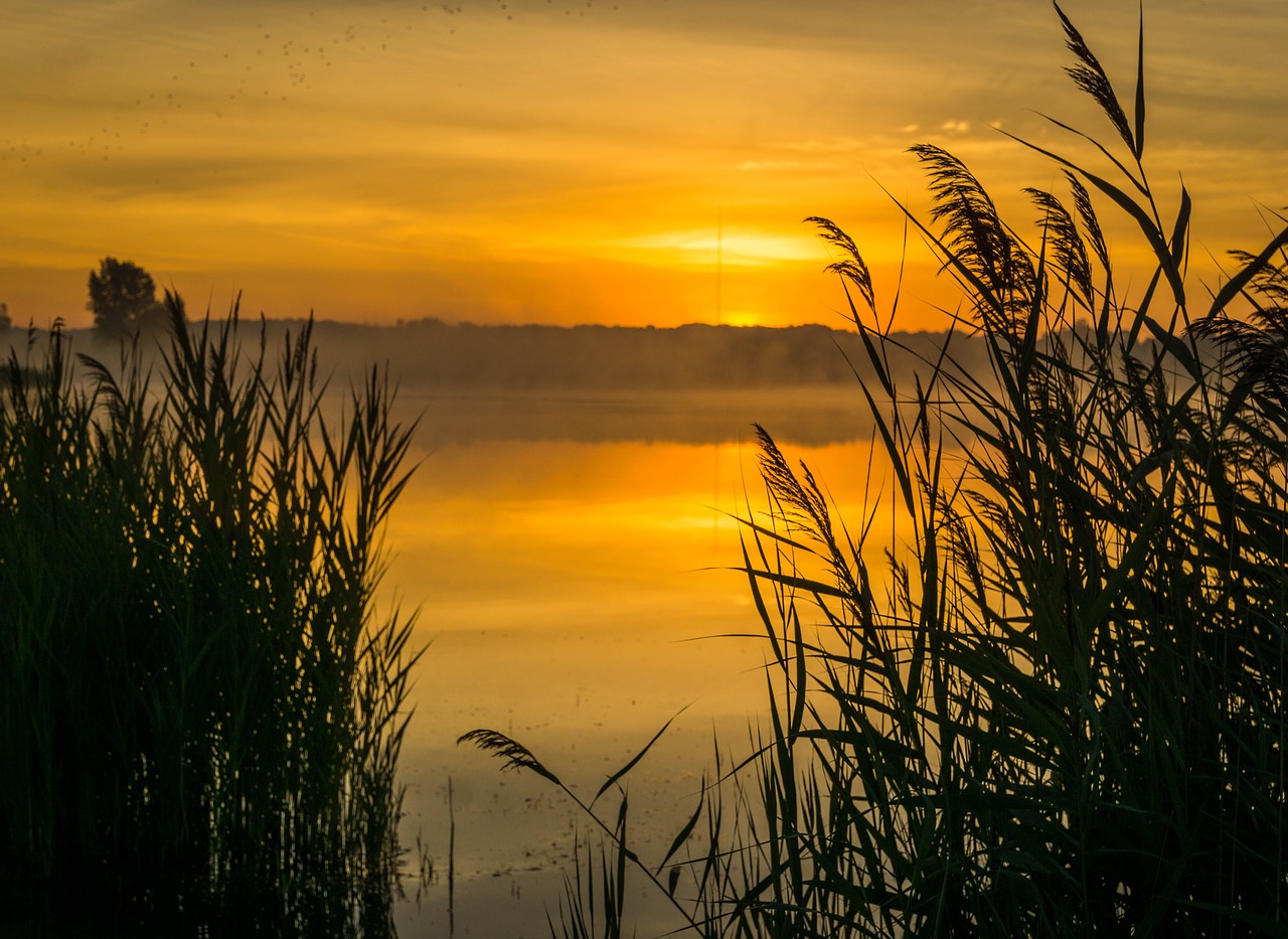 Image - sunrise hope morning nature