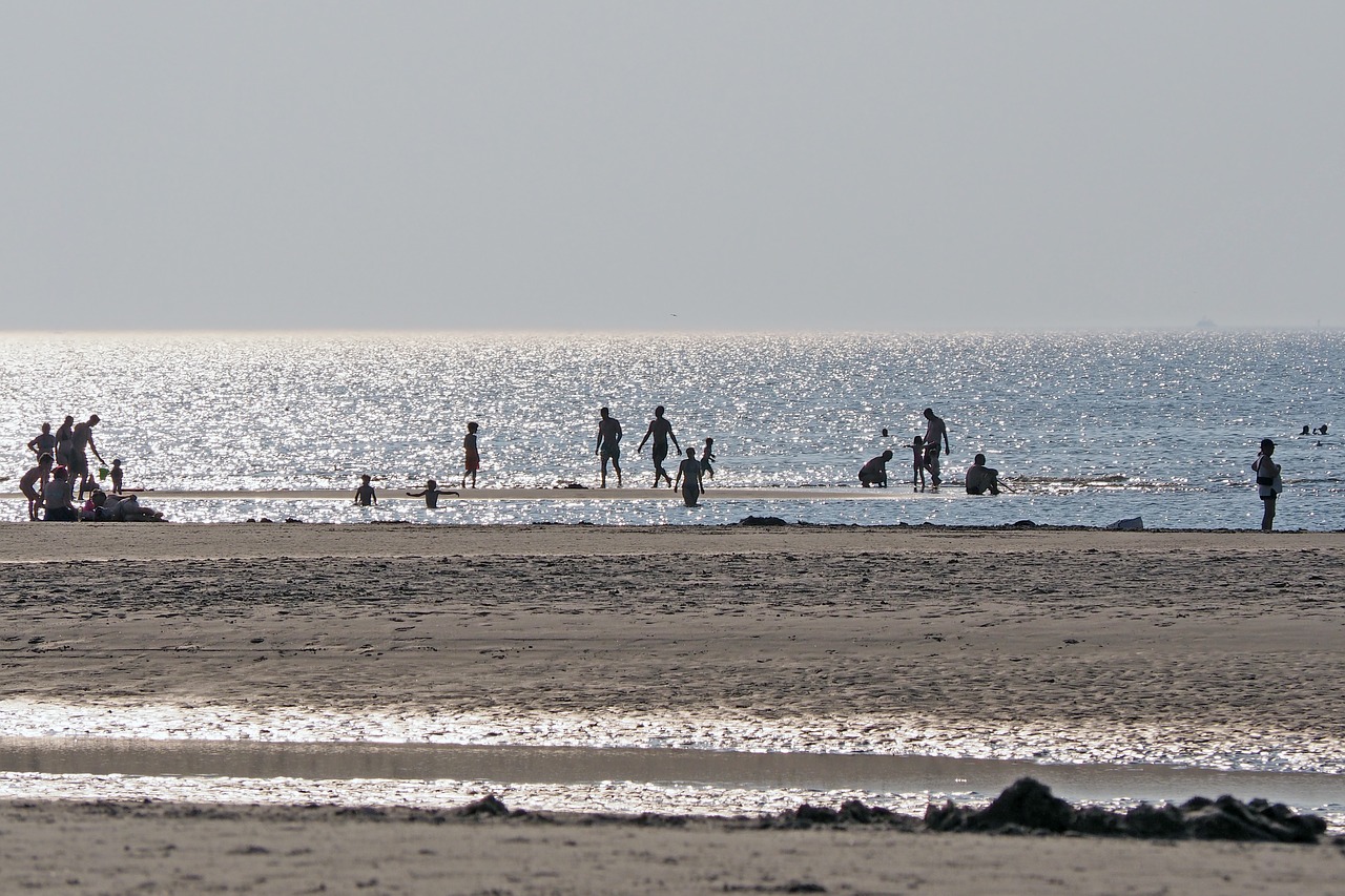 Image - back light beach sand beach swim