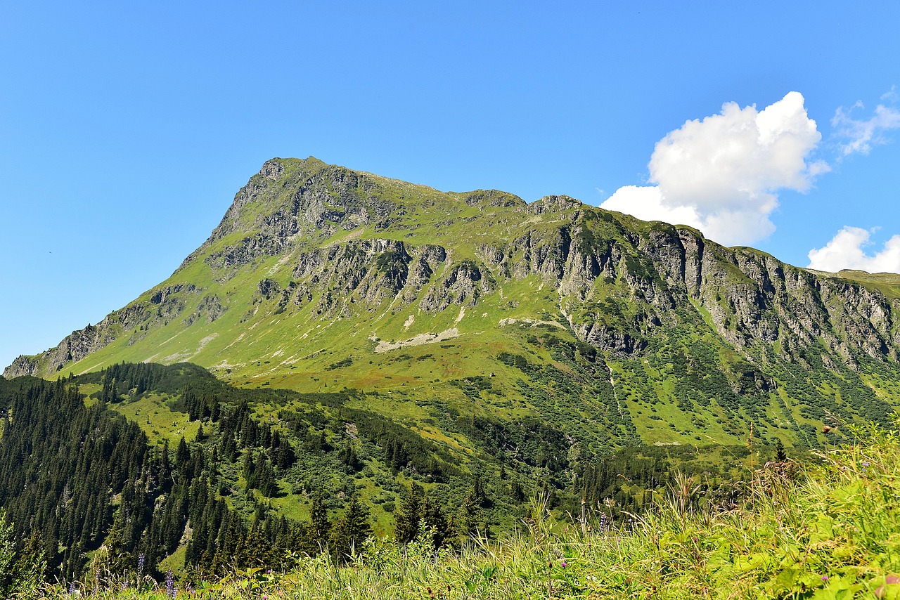 Image - mountains almen austria