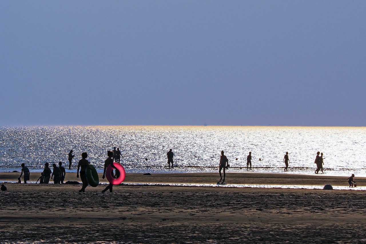 Image - back light beach sand beach swim