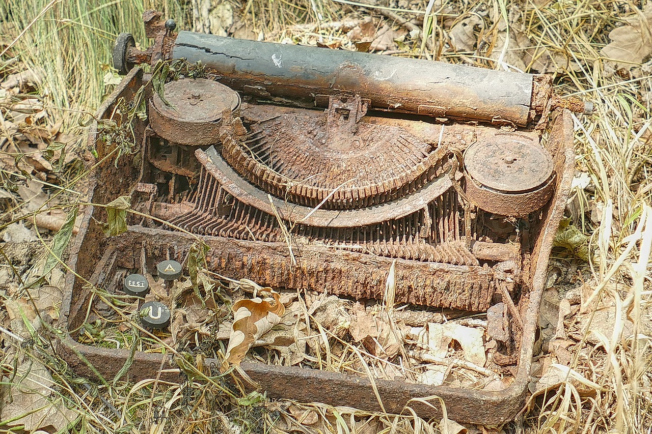 Image - old rots typewriter nature