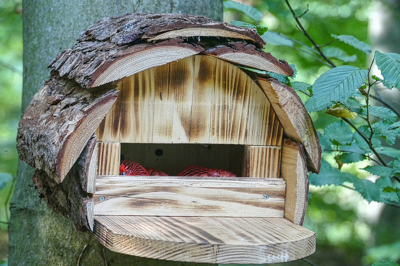 Image - aviary bird feeder interesting