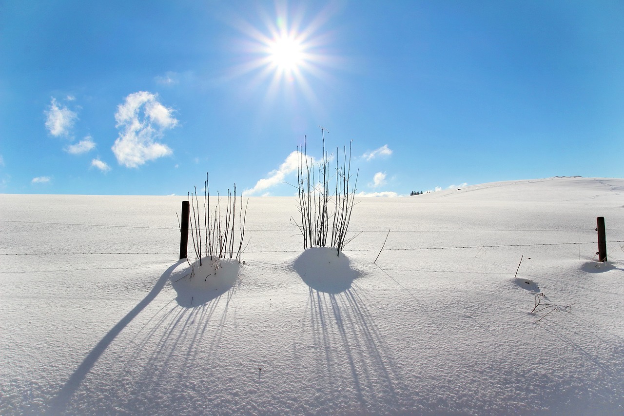 Image - winter snow wintry snowy