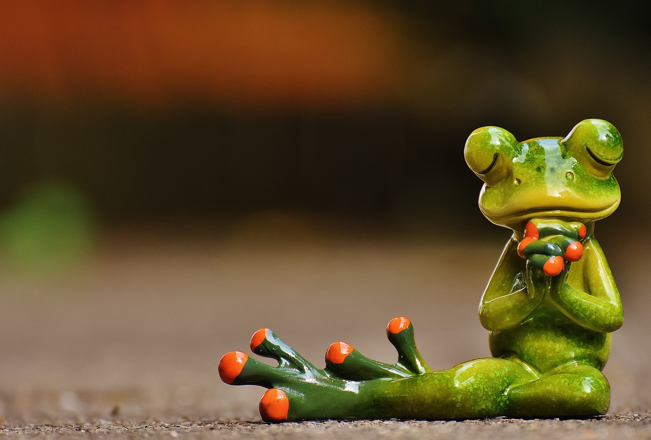 Image - frog pray harmony figure