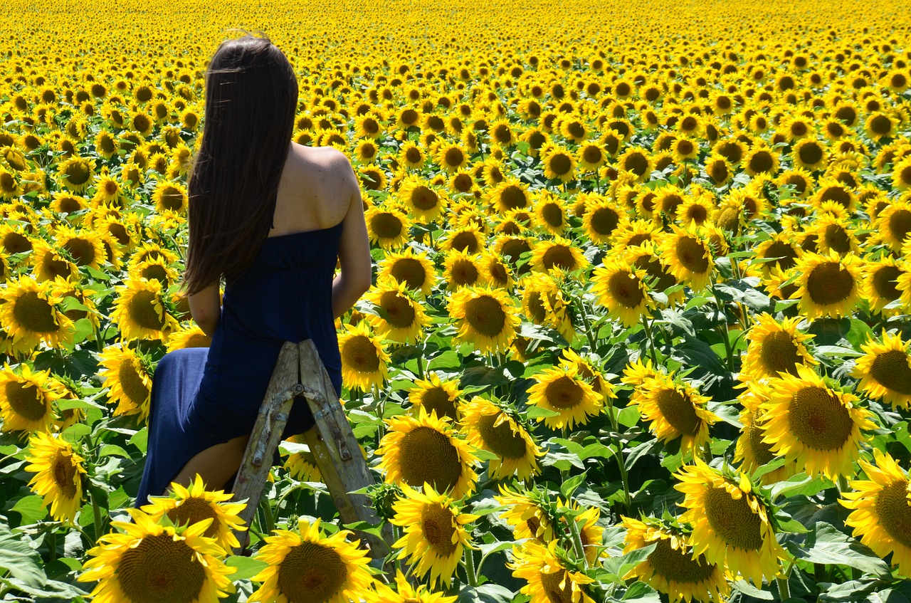 Image - sunflower sunshine young lady plant