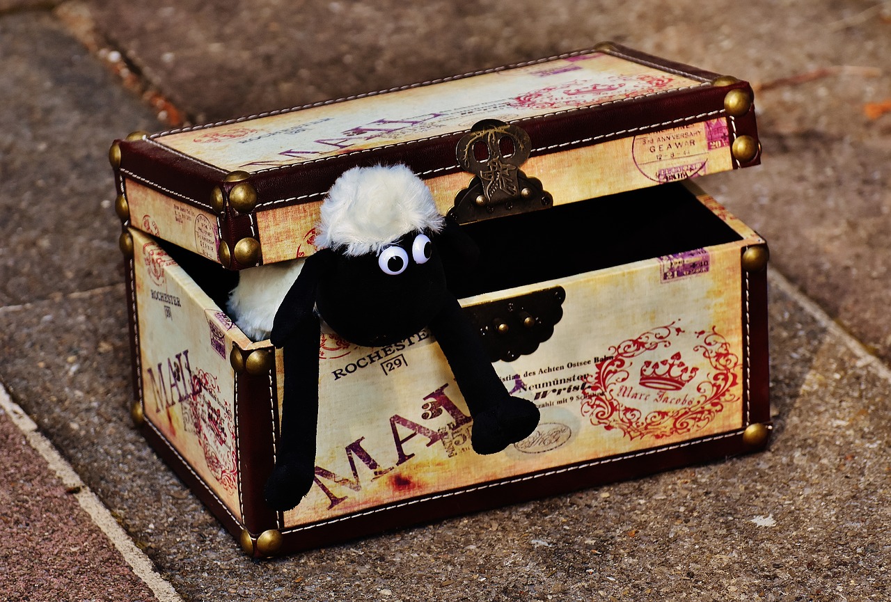 Image - sheep chest box funny animal