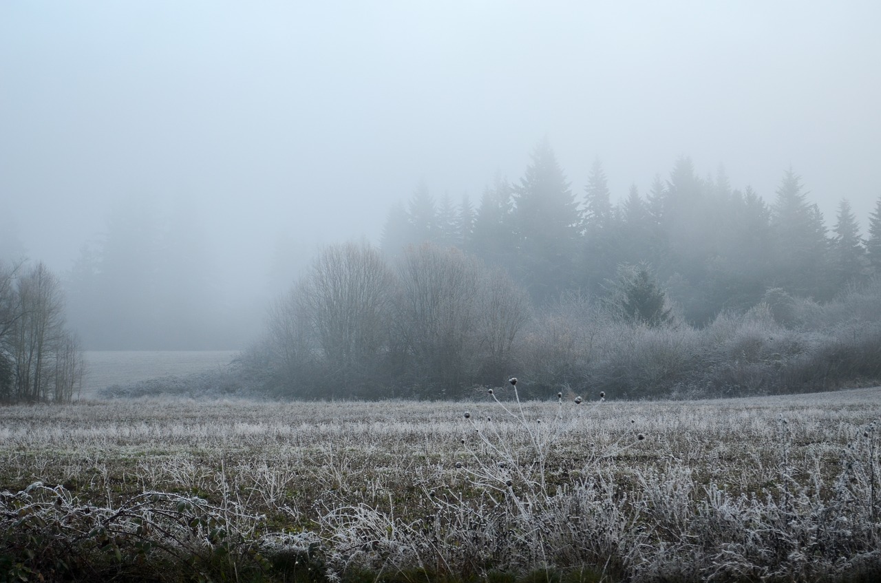 Image - oregon snow frost field fog