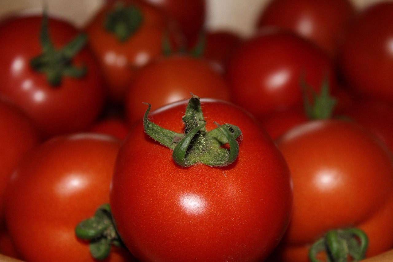 Image - tomatoes red vegetables harvest