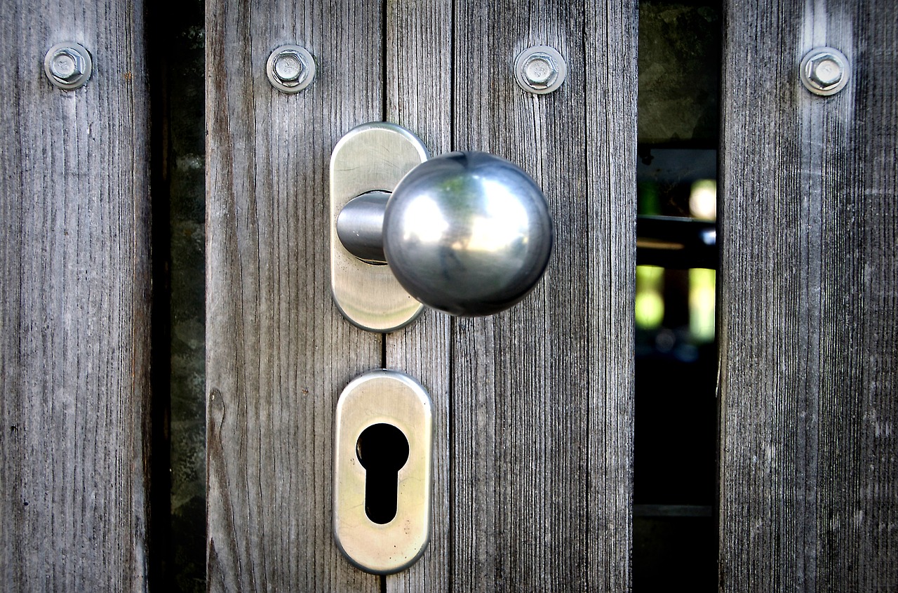 Image - door handle ball grip castle