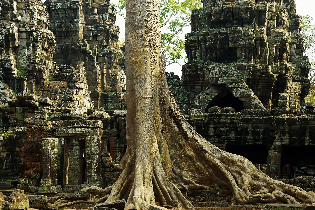 Image - cambodia angkor temple your prey