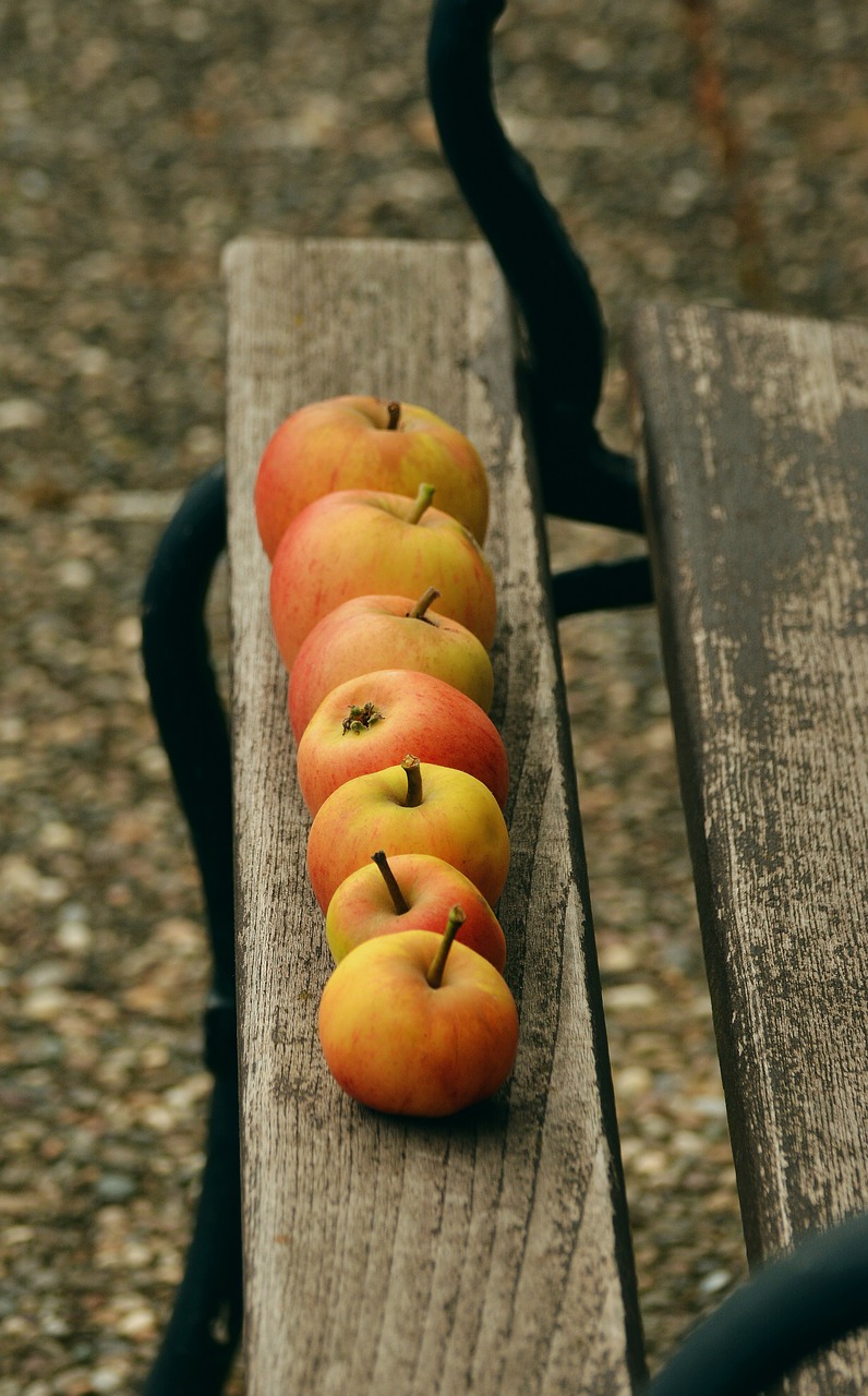 Image - apple goldparmäne fruit windfall