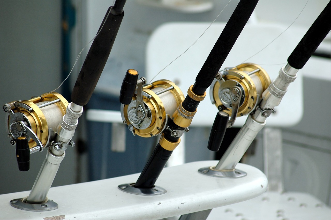 Image - fishing reels rod equipment