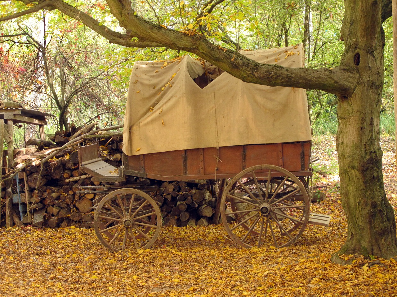 Image - covered wagon wooden cart wagon