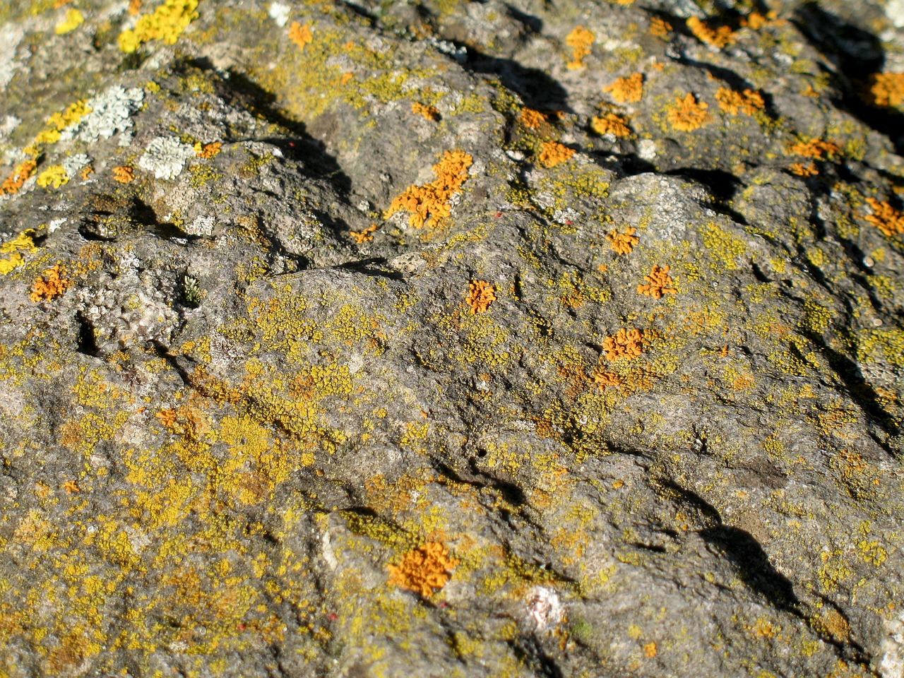 Image - stone weave nature background